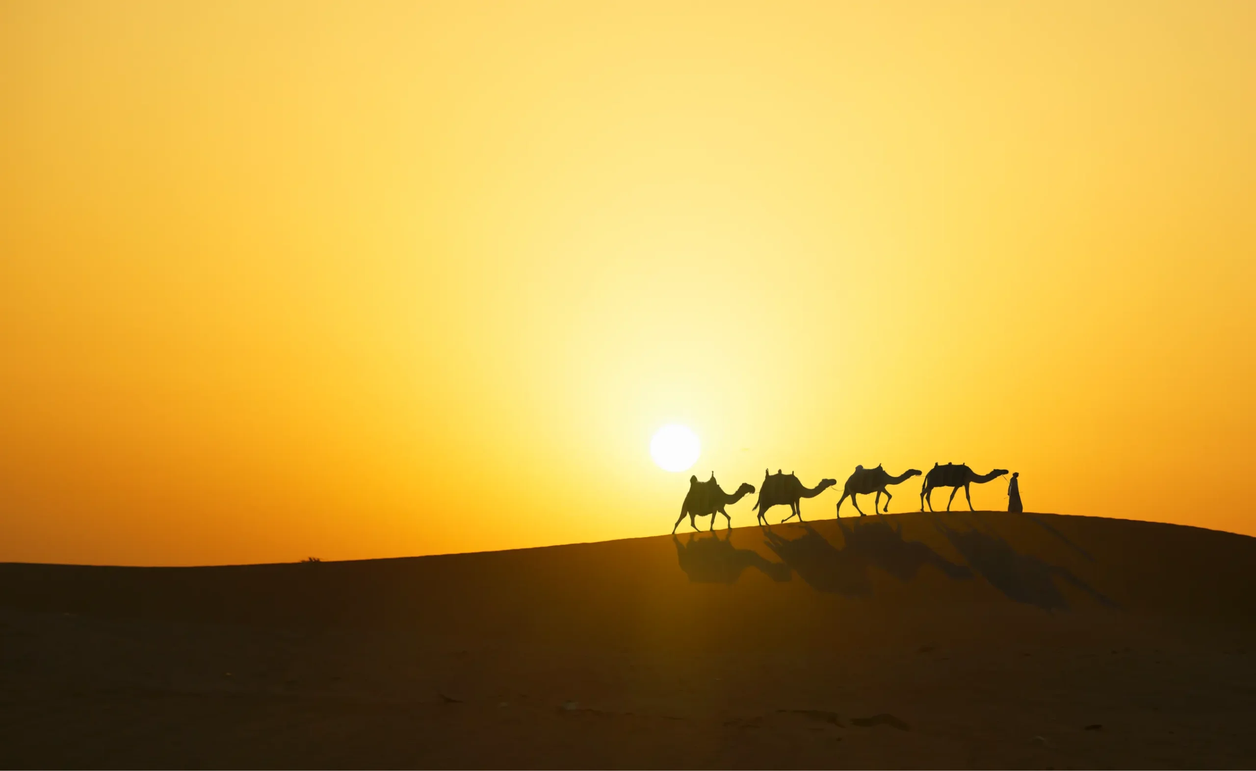 Real desert, not a roadside camp, Abu Dhabi desert safari