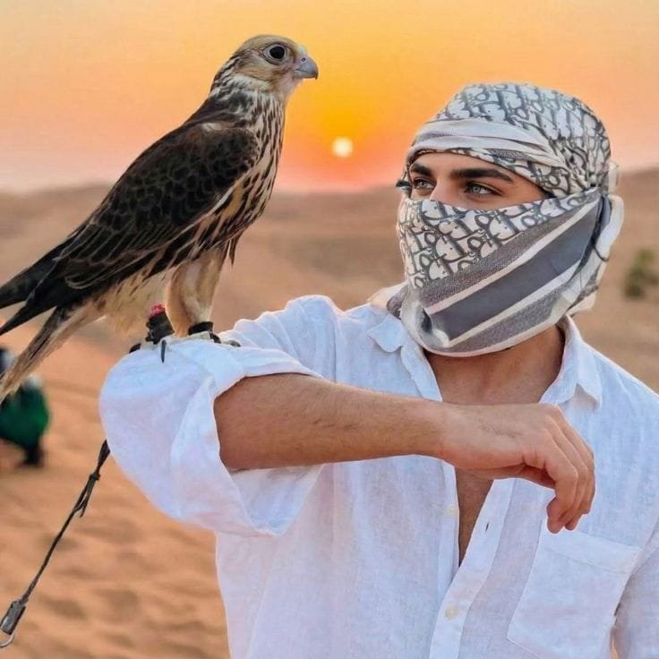 Falcon on the glove