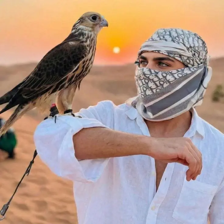 Falcon photo experience Abu Dhabi desert safari